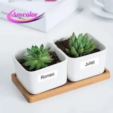 Anycolor Compatible Label Tape Replacement for 45013 (S0720530) Black on White 12mm Label Refill Compatible with LabelManager 160 280 210D 360D 420P 4200, 1/2 inch x 23 feet, 2-Pack