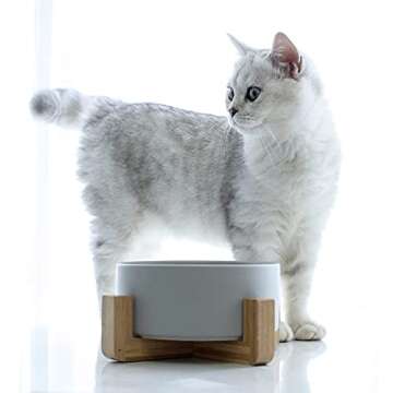 Ceramic Dog Bowls, Non-Slip Elevated Dog Bowl with Wooden Stand, Suitable for Small and Medium-Sized...