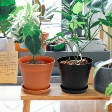 Monoture 18Pack 6in Plant Pots with Drainage Holes and Tray,Flower Pots for Indoor Plants Home Decor,Large Planters for Outdoor Plants-Monstera、Aloe、Cactus,Plastic Nursery Pots for Planting MixedColor