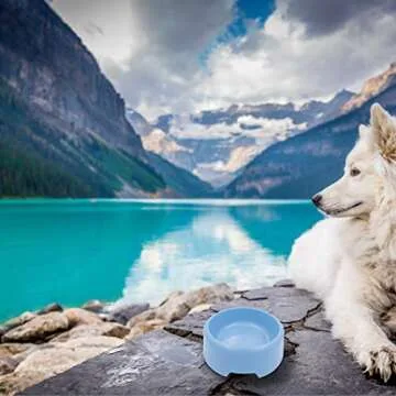 Forest Guys Dog Bowls Cat Bowls (Plastic Bowls, Blue 4-Pack)