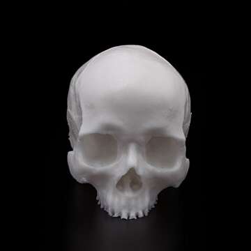 A Pound of Flesh Practice Tattoo Skull, Tattooing Body Part for Designing Artwork, Testing Products ...