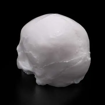 A Pound of Flesh Practice Tattoo Skull, Tattooing Body Part for Designing Artwork, Testing Products or Display Professional Quality, White