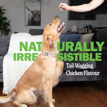 Deley Naturals Dog Probiotic Chews - Dogs Probiotic for Digestive Health with 4 Billion CFUs & Digestive Enzymes - Anti Diarrhea for Dogs - Dog Gut Health Probiotics for Constipation Gas & Allergies