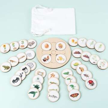 Wooden Life Cycle Learning Toy for Children