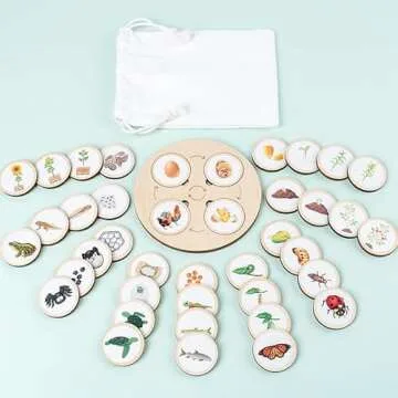 Wooden Life Cycle Learning Toy for Children