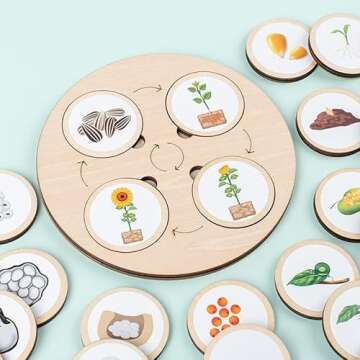 Wooden Life Cycle Learning Toy for Children