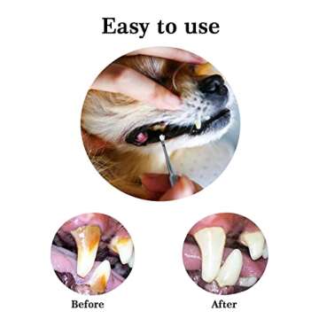 3 Pieces Dog Dental Tooth Scaler and Scraper Stainless Double Headed Tarter Removing Tool Scraper Pet Teeth Cleaning Tools for Dog and Cat (Silver)