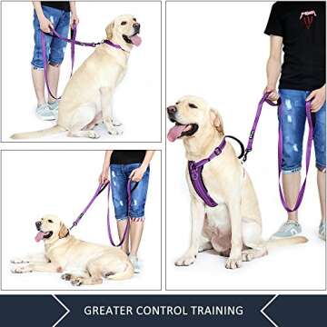 Plutus Pet Dog Leash 6ft Long, Traffic Padded Two Handle, Heavy Duty, Reflective Double Handles Lead for Control Safety Training, Leashes for Large Dogs or Medium Dogs, Dual Handles Leads (Purple)