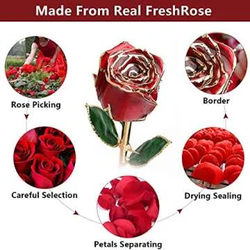 Eternal Rose: 24K Gold Dipped Flower for Every Occasion