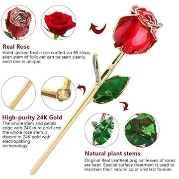 Eternal Rose: 24K Gold Dipped Flower for Every Occasion