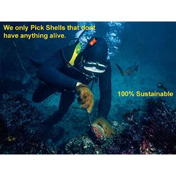 SOUL STICKS Abalone Shell with Wooden Tripod Stand for Smudging Sage, Herbs, Incense, Resin, and Palo Santo | Sustainably Sourced Shell Ashtray with Smudge Guide | Available in 3 Sizes (5 Inch)