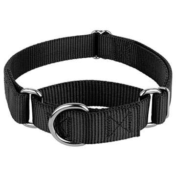 Country Brook Petz Martingale Dog Collar - No Buckle Design