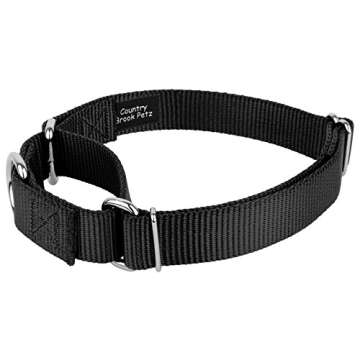 Country Brook Petz Martingale Dog Collar - No Buckle Design