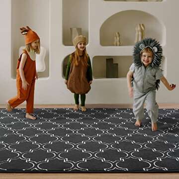 Amearea Fluffy Indoor Area Rug for Bedroom Living Room