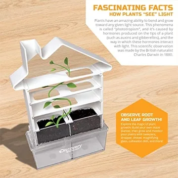 Discovery Maze Planter DIY Kit for Curious Kids