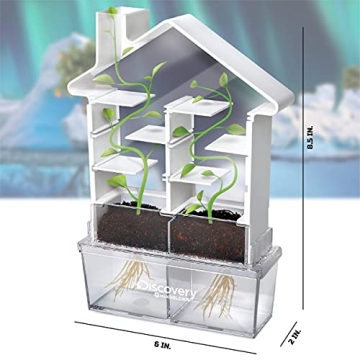 Discovery Maze Planter DIY Kit for Curious Kids