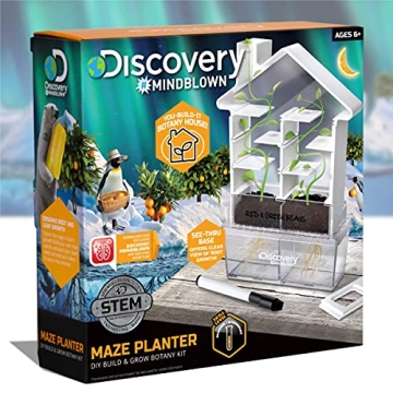 Discovery Maze Planter DIY Kit for Curious Kids