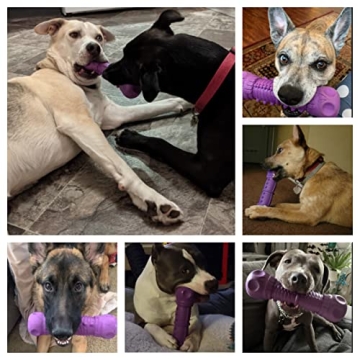 FRLEDM Indestructible Dog Toys 3 Pack for Aggressive Chewers