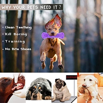 FRLEDM Indestructible Dog Toys 3 Pack for Aggressive Chewers