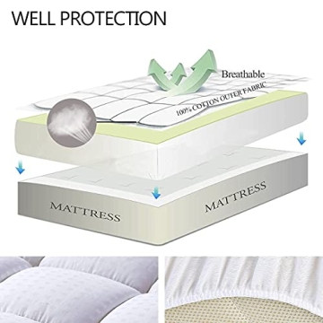 EASELAND Queen Mattress Pad Cover Soft and Comfortable