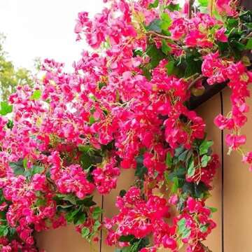 40Pcs in Bulk Artificial Bougainvillea Silk Flowers Branches Long Plant Stems 45" for Wedding Centerpieces, Bussiness Decoration Project, Indoor & Outdoor Decoration (Hot Pink - 40Pcs)