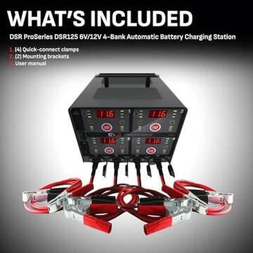 Schumacher DSR125 4 Bank Smart Battery Charger for Cars