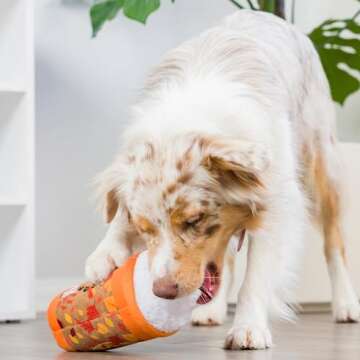 Huxley & Kent for Dogs | Puggin Spice Latte (Large) | Fall Funny Dog Toy | Power Plush Dog Toy with Squeaker | Dog Gift | Fun, Durable, and Safe | H&K Squeaky Dog Toy