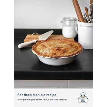 Buy LE TAUCI 9 inch Ceramic Pie Pans for Baking