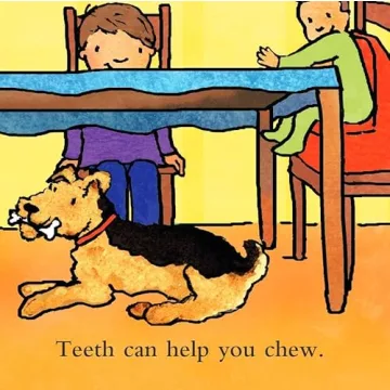 Teeth Are Not for Biting Board Book - Best Behavior Tips