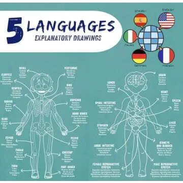 NUHICO This is me Montessori Essential Large 3 feet Human Body Model for Kids. Learning Toys for Homeschool Curriculum and Puzzles for Kids. Homeschool Supplies for Teaching and for Your Room.