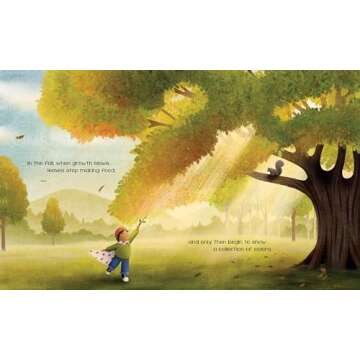 The Secret of Fall Aromatherapy Diffuser for Relaxation