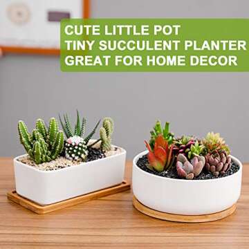 DeeCoo Ceramic Succulent Pots with Bamboo Tray Set