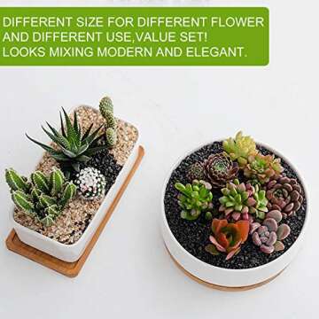 DeeCoo Ceramic Succulent Pots with Bamboo Tray Set