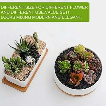 DeeCoo Ceramic Succulent Pots with Bamboo Tray Set