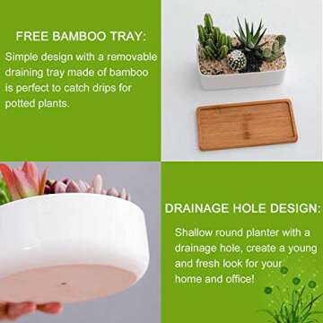 DeeCoo Ceramic Succulent Pots with Bamboo Tray Set