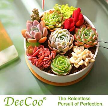 DeeCoo Ceramic Succulent Pots with Bamboo Tray Set