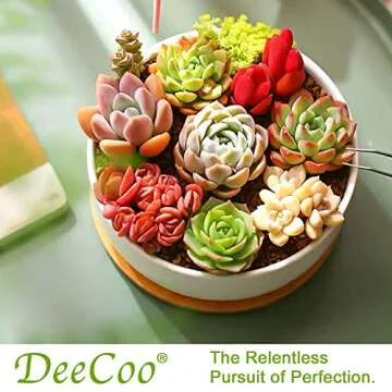 DeeCoo Ceramic Succulent Pots with Bamboo Tray Set