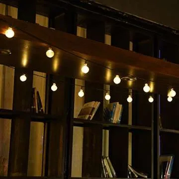 LOENDE Crystal Globe String Lights for All Occasions