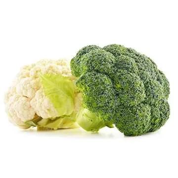 Fresh Freeze Dried Vegetables 20 Year Shelf Life #10 Can