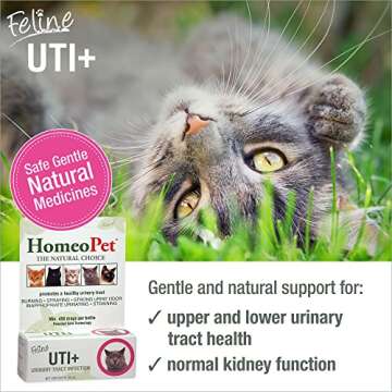 HomeoPet Feline UTI Plus, Safe and Natural Urinary Tract Medicine for Cats, Feline Urinary Tract Support, 15 Milliliters