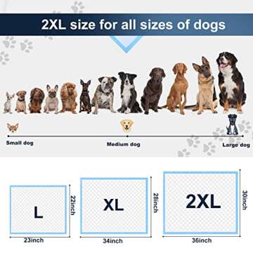 Boscute XXL Thicken 6 Layers Heavy Absorbent 30"x36" Pet Training Dog Pee Pads, Extra Large Polymer Leak-Proof Quick Dry Puppy Pee Pads, Disposable Pee Pads for Dogs Cats Rabbit
