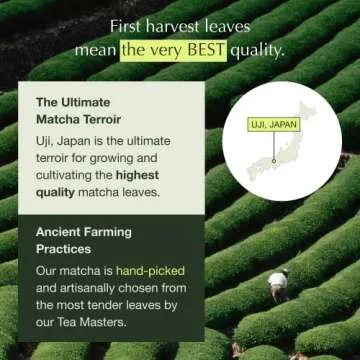 Encha Organic Latte Grade Matcha Powder - Premium Quality