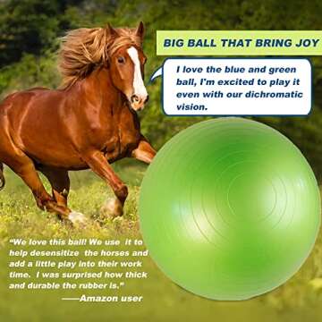 40 Inch SWYIVY Horse Ball Toy for Exercise and Play