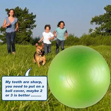 40 Inch SWYIVY Horse Ball Toy for Exercise and Play