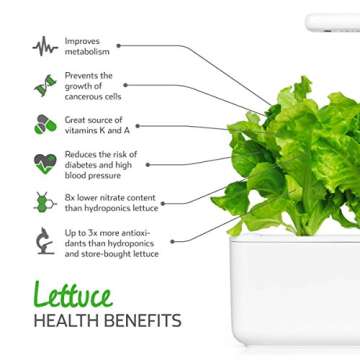 Click and Grow Green Lettuce Pods for Effortless Gardening