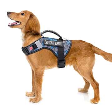 10 Service Dog Patches for Harness - High Visibility Design