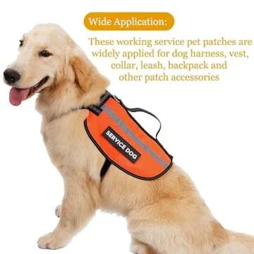 10 Service Dog Patches for Harness - High Visibility Design