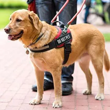 10 Service Dog Patches for Harness - High Visibility Design