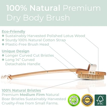 Premium Boar Brush for Lymphatic and Cellulite Massage