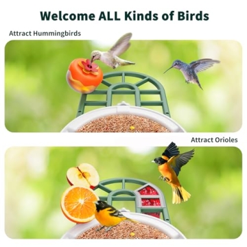 Smart Bird Feeder with Camera and AI Identification